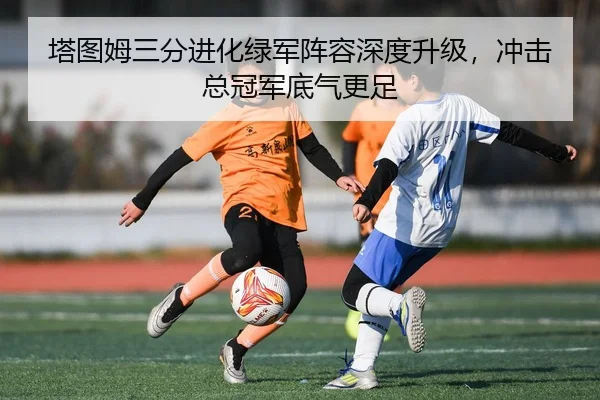 塔图姆三分进化绿军阵容深度升级，冲击总冠军底气更足
